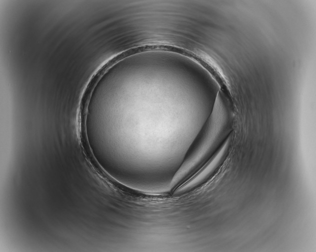X0000094191076200710261127