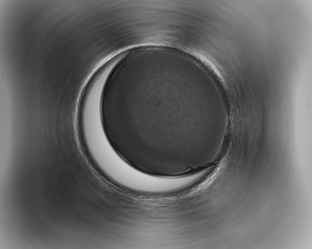 X0000094191077200710261127