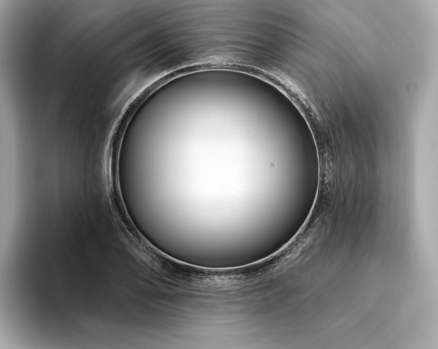 X0000094191078200710261127