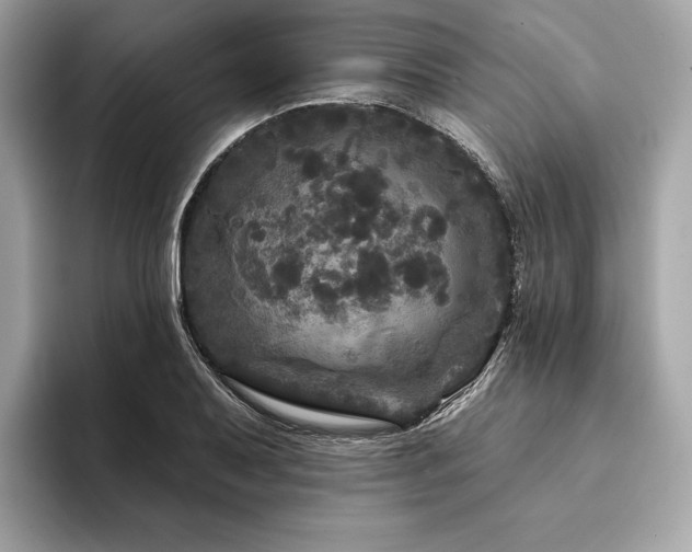 X0000094191079200710261127