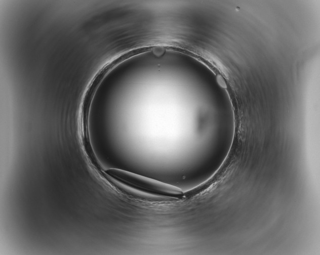 X0000094191080200710261127