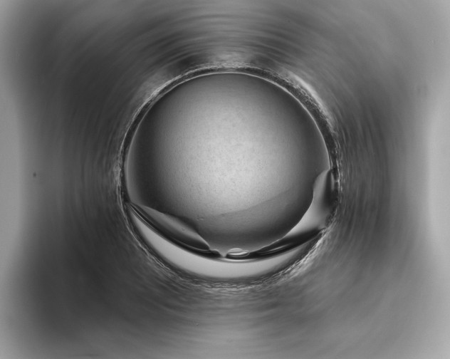 X0000094191081200710261127