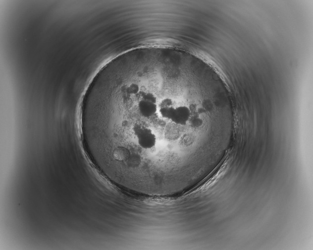 X0000094191083200710261127