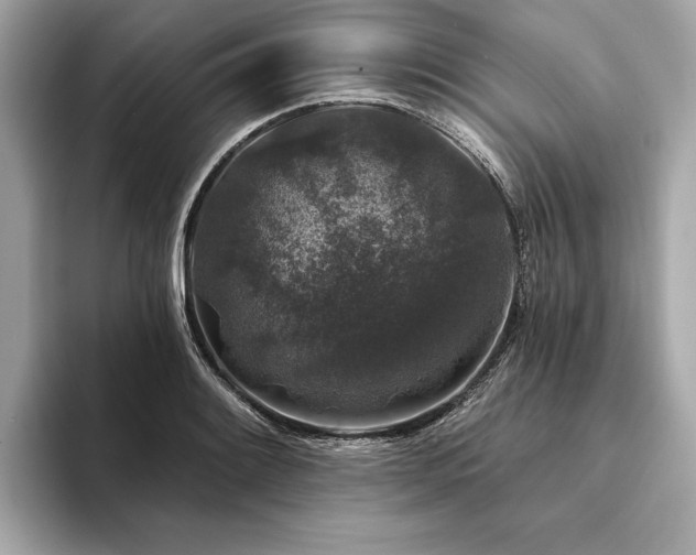 X0000094191084200710261127