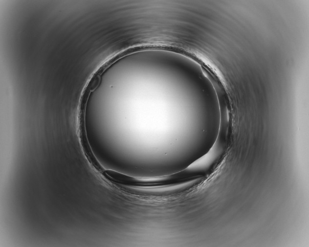 X0000094191085200710261127