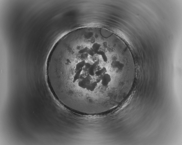 X0000094191087200710261127
