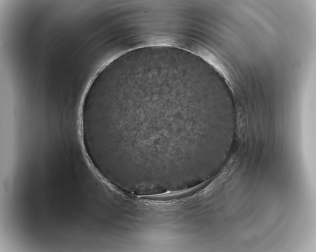 X0000094191088200710261127