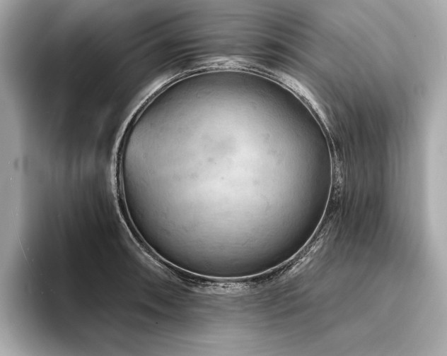 X0000094191090200710261126