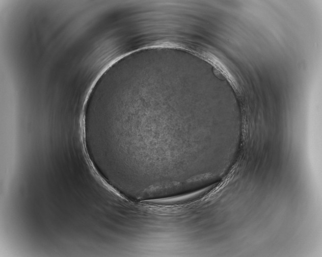 X0000094191092200710261126