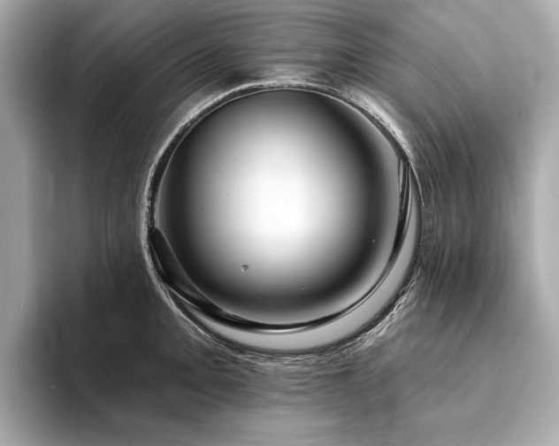 X0000094191093200710261126