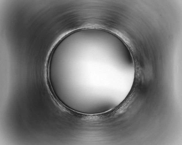 X0000094191094200710261126