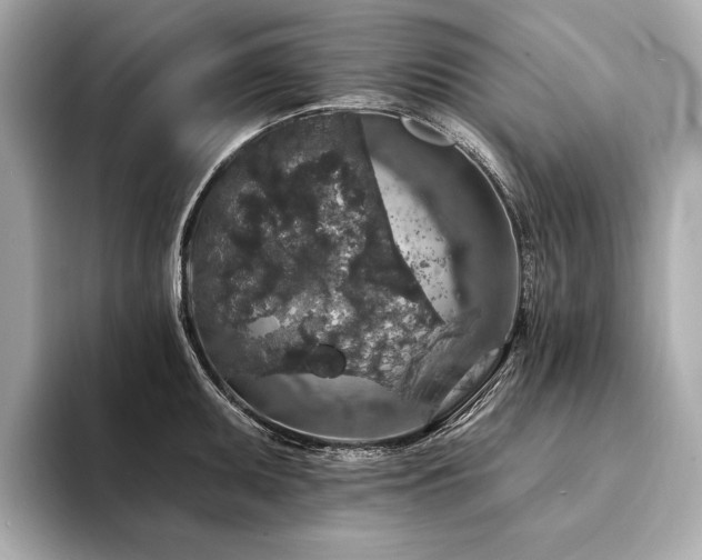 X0000094191095200710261126