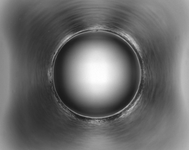 X0000094191097200710261126