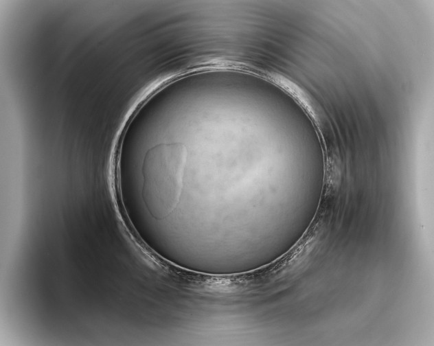 X0000094191098200710261126