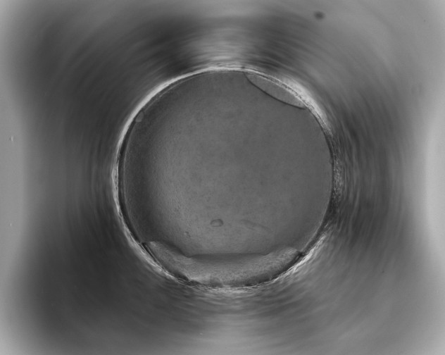 X0000094191100200710261126