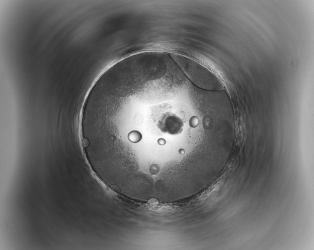 X0000094191103200710261126