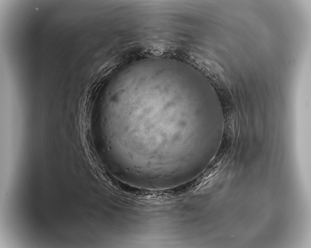 X0000094191105200710261126