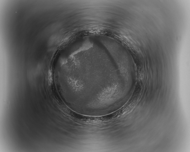 X0000094191106200710261126