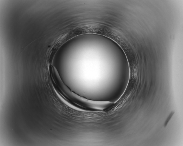 X0000094191108200710261126