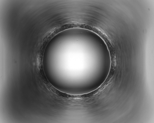 X0000094191110200710261126