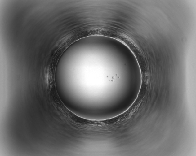 X0000094191111200710261126
