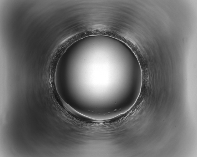 X0000094191112200710261126