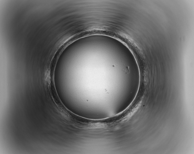 X0000094191113200710261126