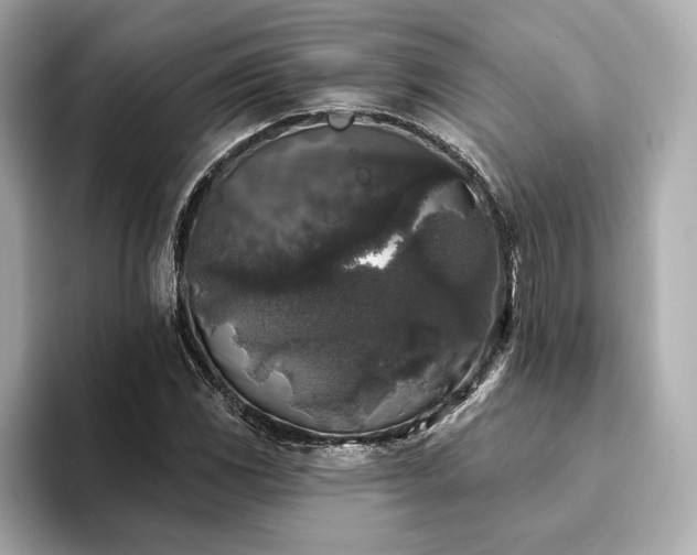 X0000094191117200710261126