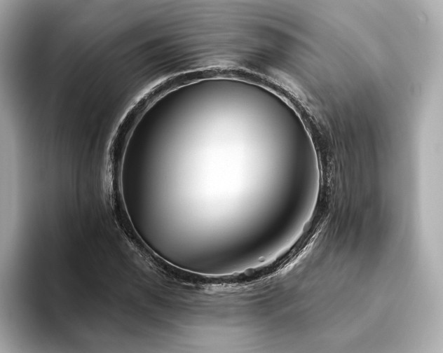 X0000094191118200710261126