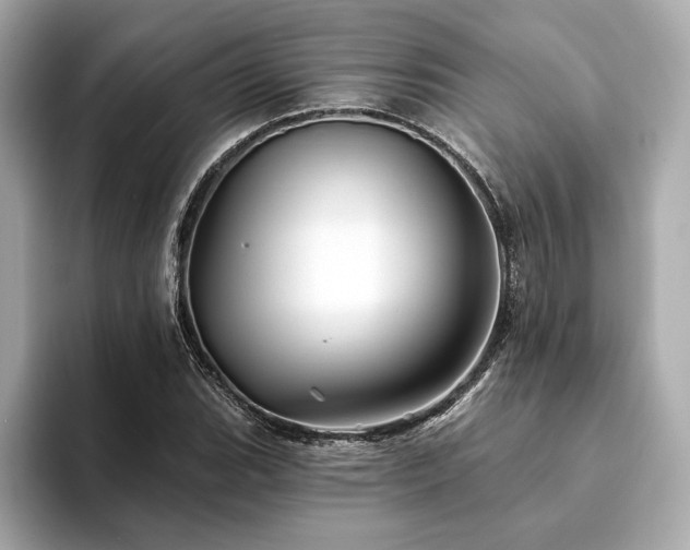 X0000094191119200710261126