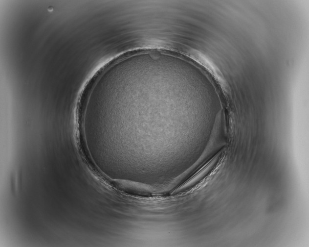 X0000094191120200710261126