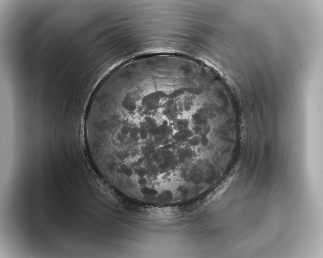 X0000094191121200710261126