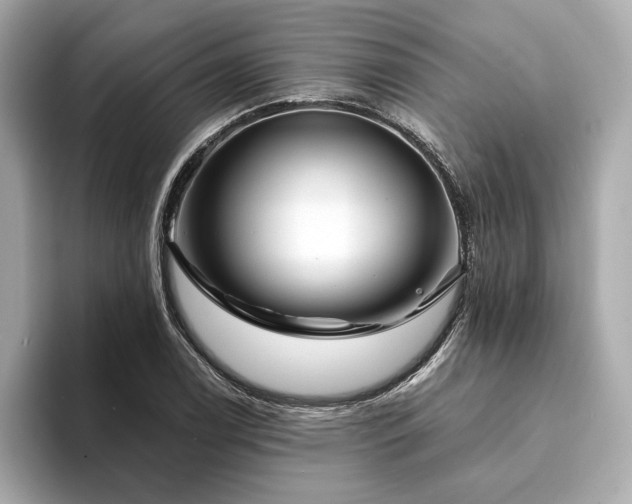 X0000094191122200710261126