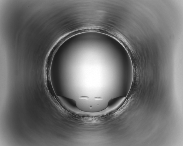 X0000094191124200710261126