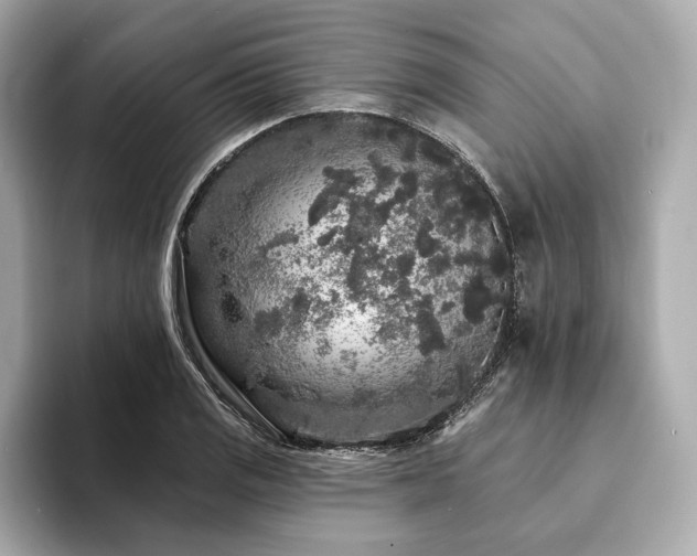 X0000094191125200710261126
