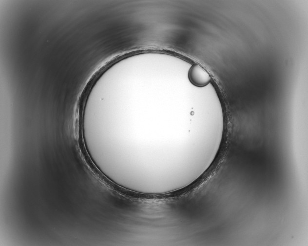 X0000094191126200710261126