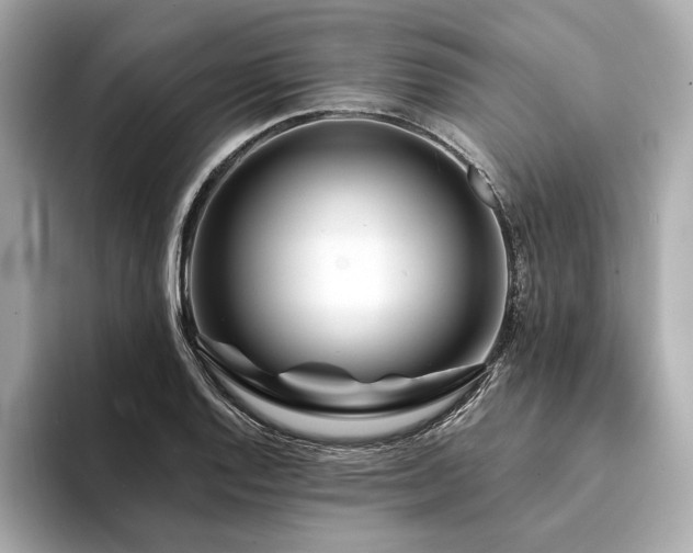 X0000094191128200710261126