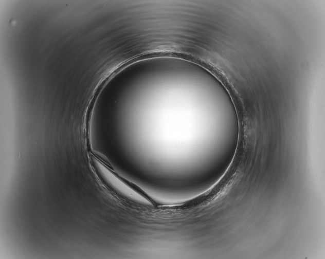 X0000094191129200710261126