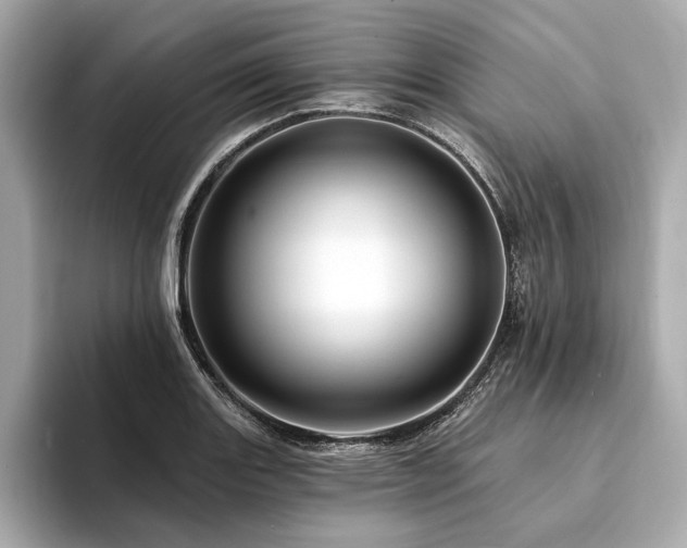 X0000094191131200710261126