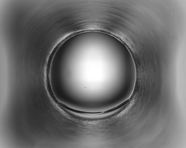 X0000094191134200710261126