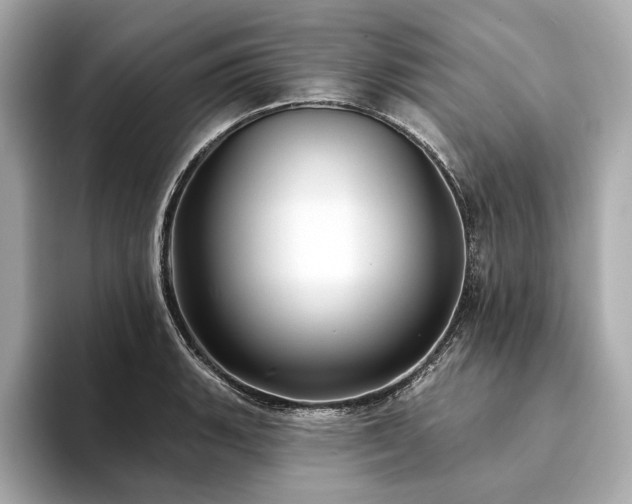 X0000094191135200710261126