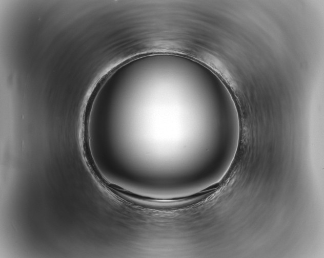 X0000094191136200710261126