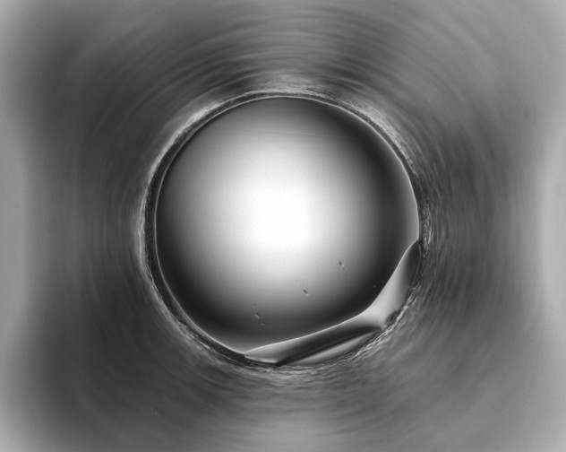 X0000094191139200710261126