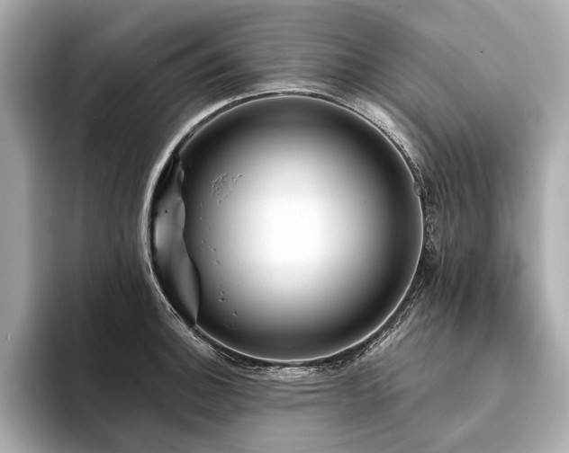 X0000094191140200710261126
