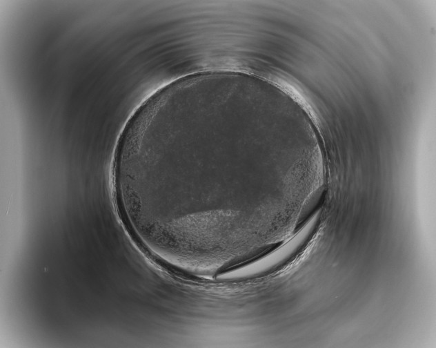 X0000094191141200710261126