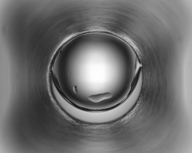 X0000094191142200710261126