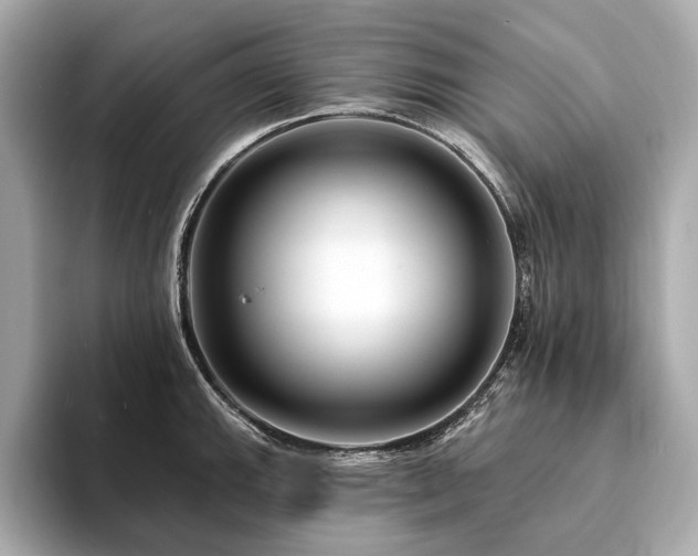 X0000094191143200710261126