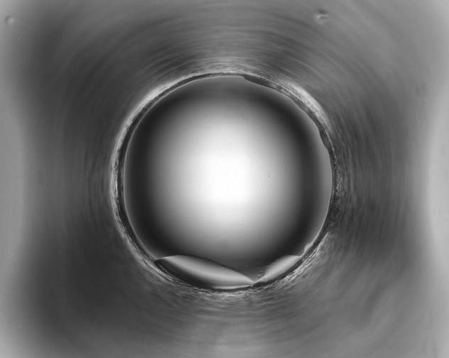 X0000094191144200710261126