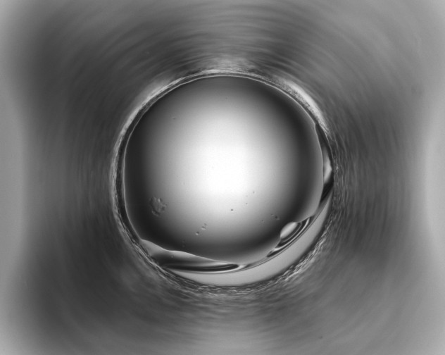X0000094191146200710261126
