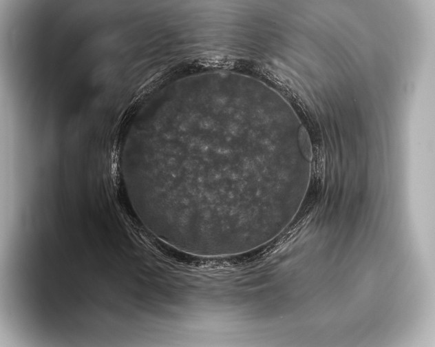 X0000094191154200710261126